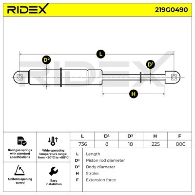 Gasfeder, Koffer-/Laderaum RIDEX 219G0490 219G0490 - foto 6