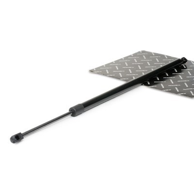 Gasfeder, Koffer-/Laderaum RIDEX 219G0314 219G0314 - foto 2