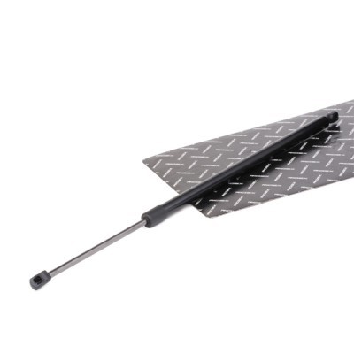Gasfeder, Koffer-/Laderaum RIDEX 219G0589 219G0589 - foto 2