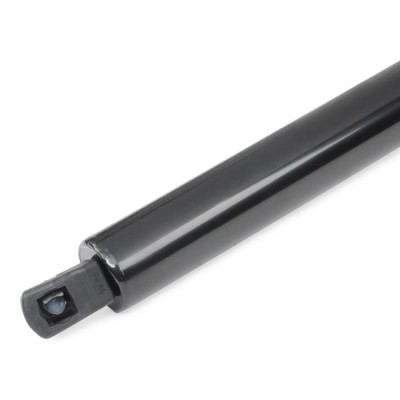 Gasfeder, Koffer-/Laderaum RIDEX 219G0430 219G0430 - foto 5