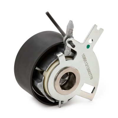 Zahnriemenspanner RIDEX 308T0123 308T0123 - foto 7
