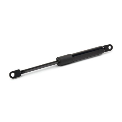 Gasfeder, Koffer-/Laderaum RIDEX 219G1087 219G1087 - foto 3