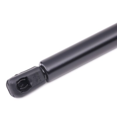 Gasfeder, Koffer-/Laderaum RIDEX 219G0208 219G0208 - foto 4
