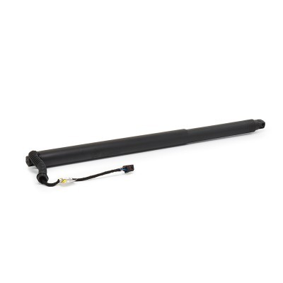 Gasfeder, Koffer-/Laderaum RIDEX 219G1726 219G1726 - foto 2