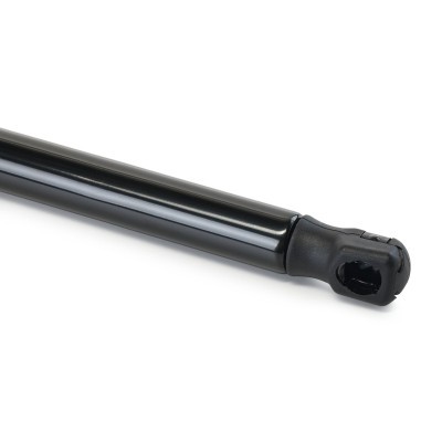 Gasfeder, Koffer-/Laderaum RIDEX 219G1440 219G1440 - foto 5