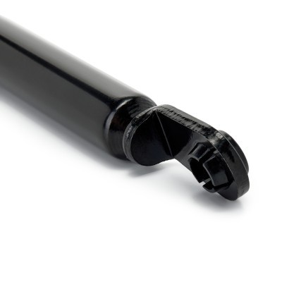 Gasfeder, Koffer-/Laderaum RIDEX 219G1479 219G1479 - foto 5