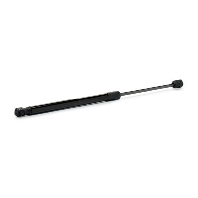 Gasfeder, Koffer-/Laderaum RIDEX 219G1355 219G1355 - foto 3