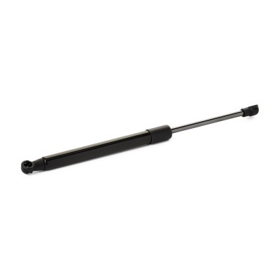 Gasfeder, Koffer-/Laderaum RIDEX 219G1122 219G1122 - foto 3
