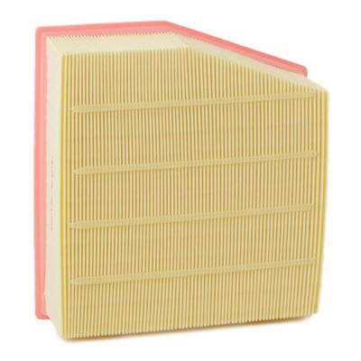 Luftfilter RIDEX 8A0599 8A0599 - foto 4