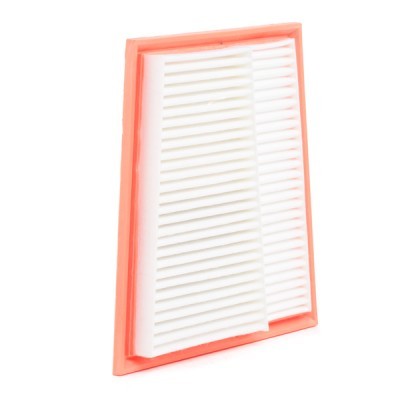 Luftfilter RIDEX 8A0643 8A0643 - foto 4