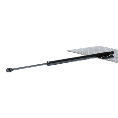 Gasfeder, Koffer-/Laderaum RIDEX 219G1026 219G1026 - foto 2