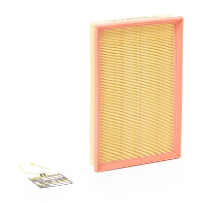 Luftfilter RIDEX 8A0024P 8A0024P - foto 2