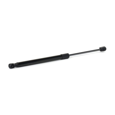 Gasfeder, Koffer-/Laderaum RIDEX 219G1255 219G1255 - foto 3