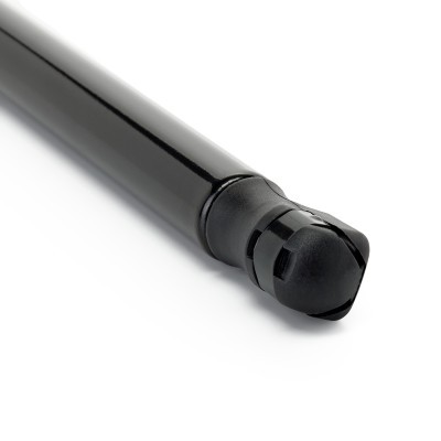 Gasfeder, Koffer-/Laderaum RIDEX 219G1557 219G1557 - foto 5
