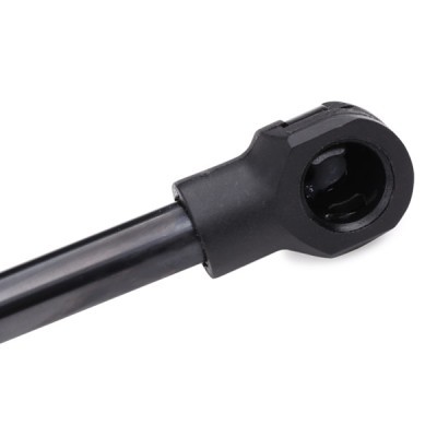 Gasfeder, Koffer-/Laderaum RIDEX 219G0440 219G0440 - foto 5