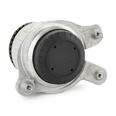 Motoraufhängung RIDEX 247E0777 247E0777 - foto 4