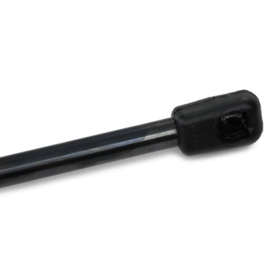 Gasfeder, Koffer-/Laderaum RIDEX 219G1005 219G1005 - foto 6