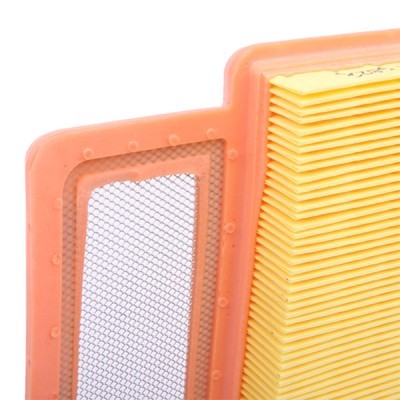 Luftfilter RIDEX 8A0663 8A0663 - foto 5