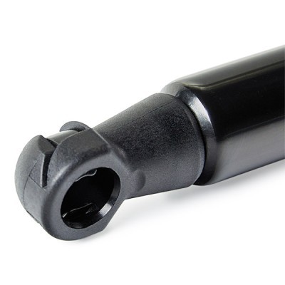 Gasfeder, Koffer-/Laderaum RIDEX 219G1161 219G1161 - foto 6