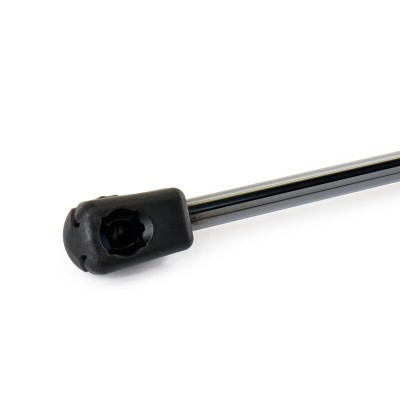 Gasfeder, Koffer-/Laderaum RIDEX 219G1085 219G1085 - foto 4
