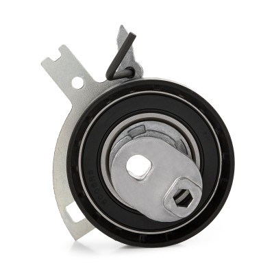 Zahnriemenspanner RIDEX 308T0123 308T0123 - foto 8