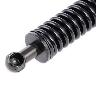 Gasfeder, Koffer-/Laderaum RIDEX 219G0079 219G0079 - foto 5