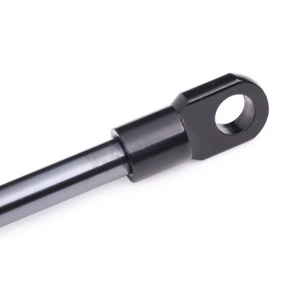 Gasfeder, Koffer-/Laderaum RIDEX 219G0497 219G0497 - foto 5