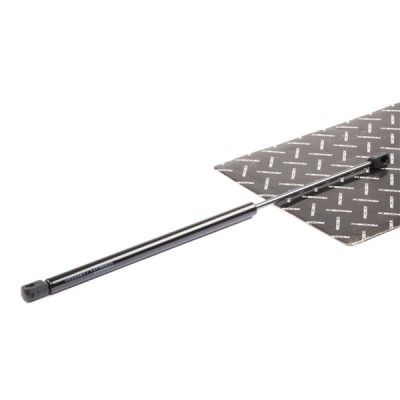 Gasfeder, Koffer-/Laderaum RIDEX 219G0935 219G0935 - foto 2