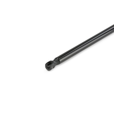 Gasfeder, Koffer-/Laderaum RIDEX 219G0865 219G0865 - foto 9