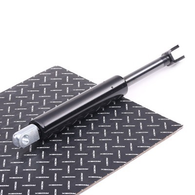 Gasfeder, Koffer-/Laderaum RIDEX 219G0191 219G0191 - foto 2