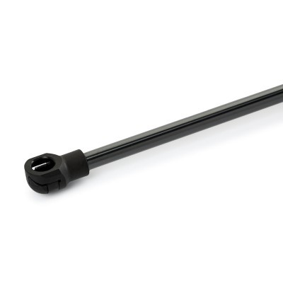 Gasfeder, Koffer-/Laderaum RIDEX 219G1120 219G1120 - foto 4