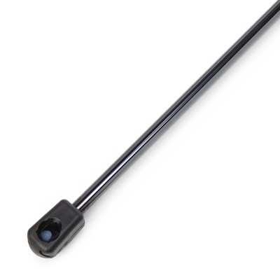 Gasfeder, Koffer-/Laderaum RIDEX 219G1221 219G1221 - foto 4