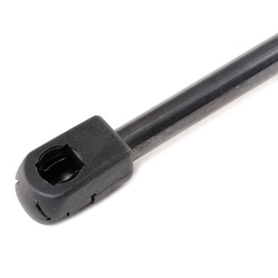 Gasfeder, Koffer-/Laderaum RIDEX 219G0619 219G0619 - foto 5