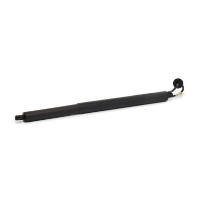 Gasfeder, Koffer-/Laderaum RIDEX 219G1727 219G1727 - foto 3