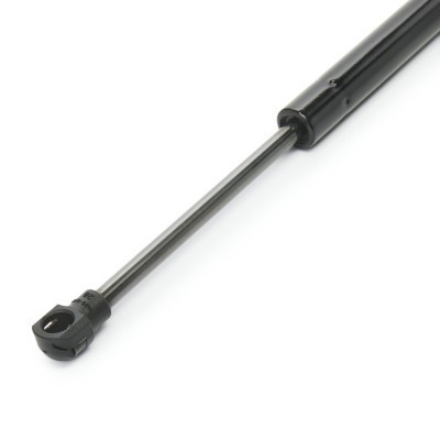 Gasfeder, Koffer-/Laderaum RIDEX 219G1218 219G1218 - foto 4
