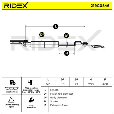 Gasfeder, Koffer-/Laderaum RIDEX 219G0846 219G0846 - foto 6