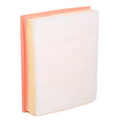 Luftfilter RIDEX 8A0611 8A0611 - foto 4