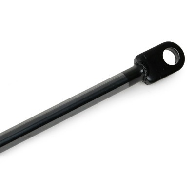 Gasfeder, Koffer-/Laderaum RIDEX 219G0763 219G0763 - foto 6