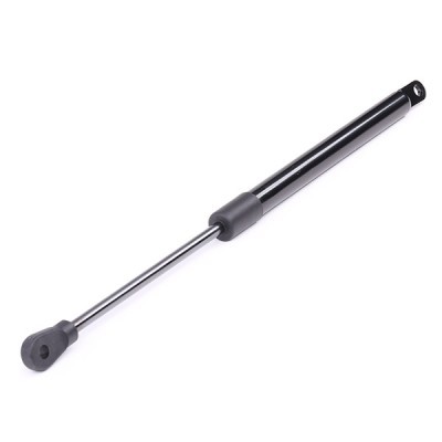 Gasfeder, Koffer-/Laderaum RIDEX 219G0245 219G0245 - foto 6