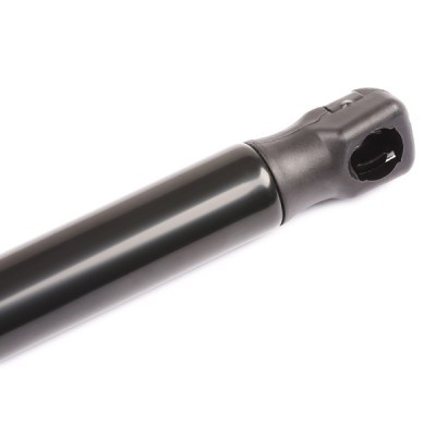 Gasfeder, Koffer-/Laderaum RIDEX 219G0188 219G0188 - foto 5