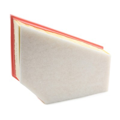 Luftfilter RIDEX 8A0550 8A0550 - foto 4