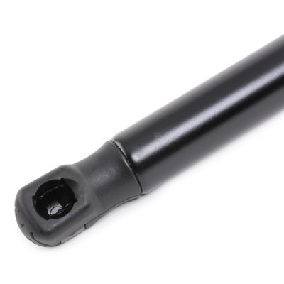 Gasfeder, Koffer-/Laderaum RIDEX 219G0872 219G0872 - foto 5
