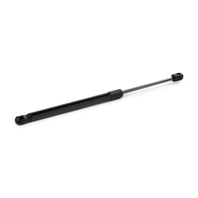 Gasfeder, Koffer-/Laderaum RIDEX 219G1024 219G1024 - foto 3