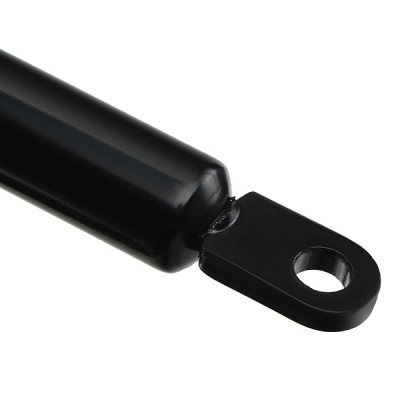 Gasfeder, Koffer-/Laderaum RIDEX 219G0984 219G0984 - foto 5
