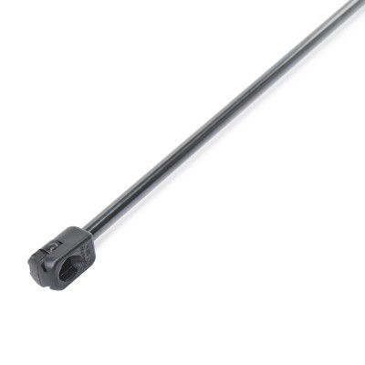 Gasfeder, Koffer-/Laderaum RIDEX 219G1217 219G1217 - foto 4