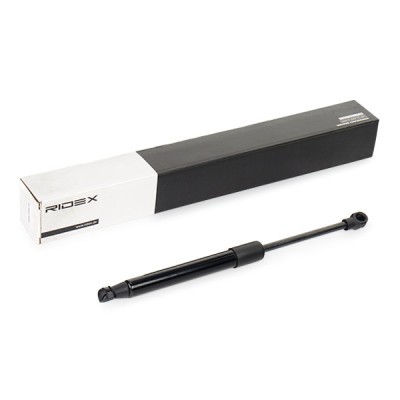 Gasfeder, Koffer-/Laderaum RIDEX 219G0572 219G0572 - foto 2