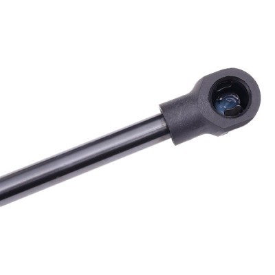 Gasfeder, Koffer-/Laderaum RIDEX 219G0388 219G0388 - foto 6