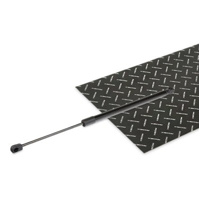 Gasfeder, Koffer-/Laderaum RIDEX 219G1089 219G1089 - foto 2