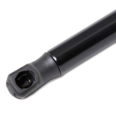 Gasfeder, Koffer-/Laderaum RIDEX 219G0918 219G0918 - foto 4