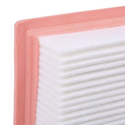 Luftfilter RIDEX 8A0301 8A0301 - foto 5